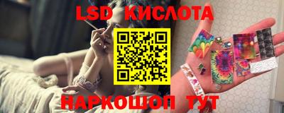 прущие грибы Будённовск