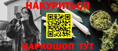 прущие грибы Будённовск