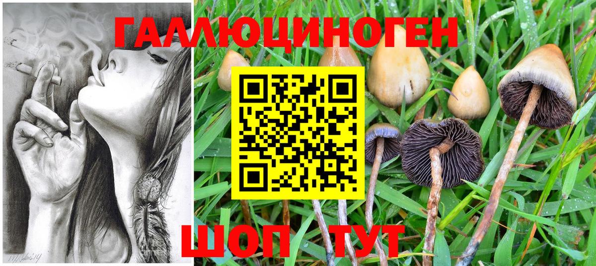 Обь  Галлюциногенные грибы GOLDEN TEACHER  Вход с VPN 